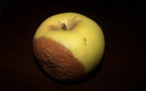 Manzana podrida